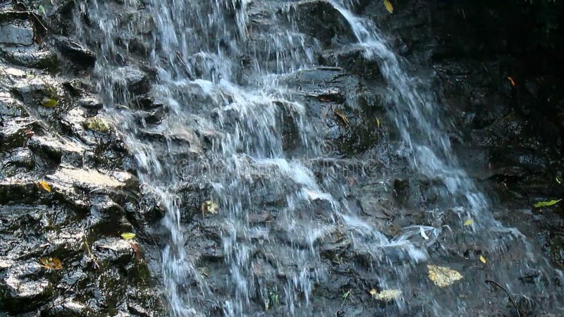 Cascade pure d'eau douce dans la forêt banque de vidéos