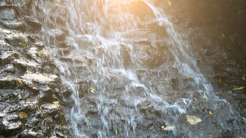 Cascade pure d'eau douce dans la forêt banque de vidéos