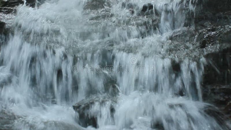 Cascade pure d'eau douce dans la forêt clips vidéos