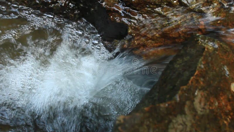 Cascade pure d'eau douce dans la forêt clips vidéos