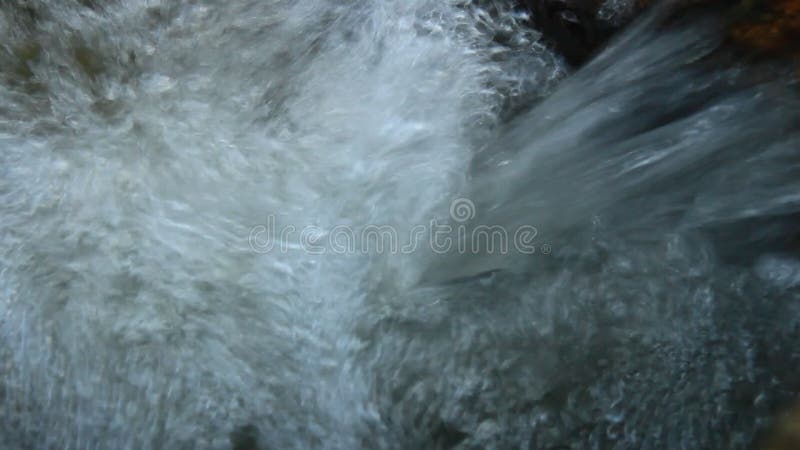 Cascade pure d'eau douce dans la forêt clips vidéos