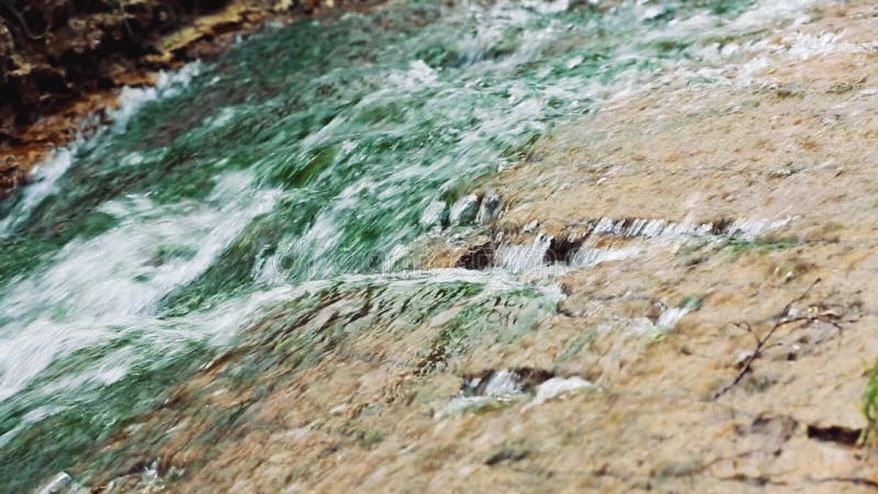 Cascade pure d'eau douce dans la forêt banque de vidéos