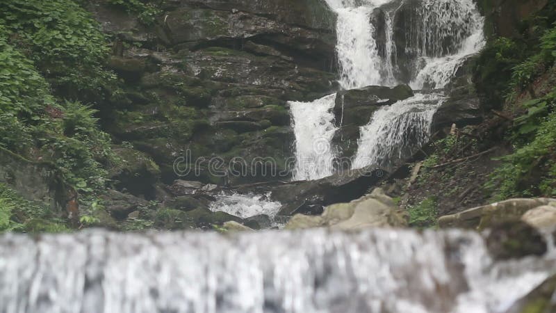 Cascade pure d'eau douce dans la forêt clips vidéos