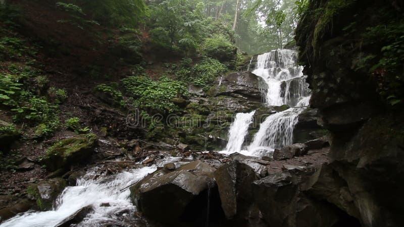 Cascade pure d'eau douce dans la forêt banque de vidéos