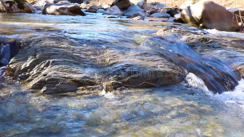 Cascade pure d'eau douce en rivière de forêt Bali Indonésie banque de vidéos