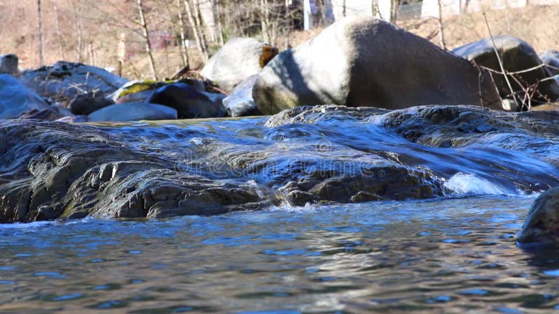 Cascade pure d'eau douce en rivière de forêt Mouvement lent banque de vidéos