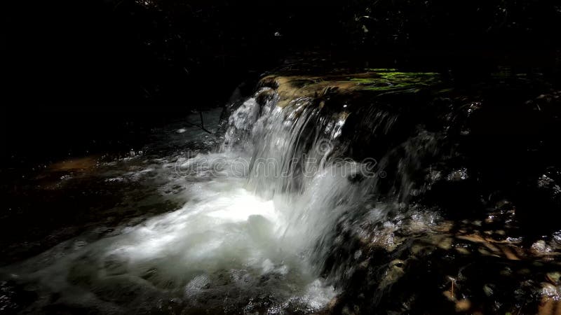 Cascade à l'arrière-plan tropical de nature de forêt tropicale