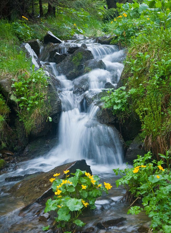 cascade à écriture ligne par ligne photo libre de droits cascade à écriture ligne par ligne photo libre de droits