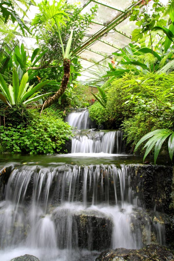 Image of peaceful waterfall in the rain forest. Image of peaceful waterfall in the rain forest