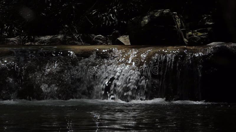 Cascade à écriture ligne par ligne dans la forêt tropicale tropicale