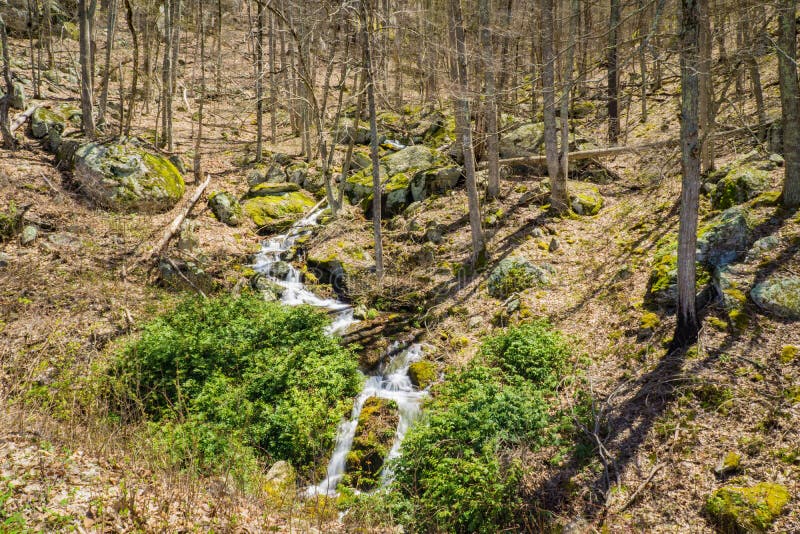 Cascades de cascade de montagne dans les bois - 2 photo libre de droits Cascades de cascade de montagne dans les bois - 2 photo libre de droits
