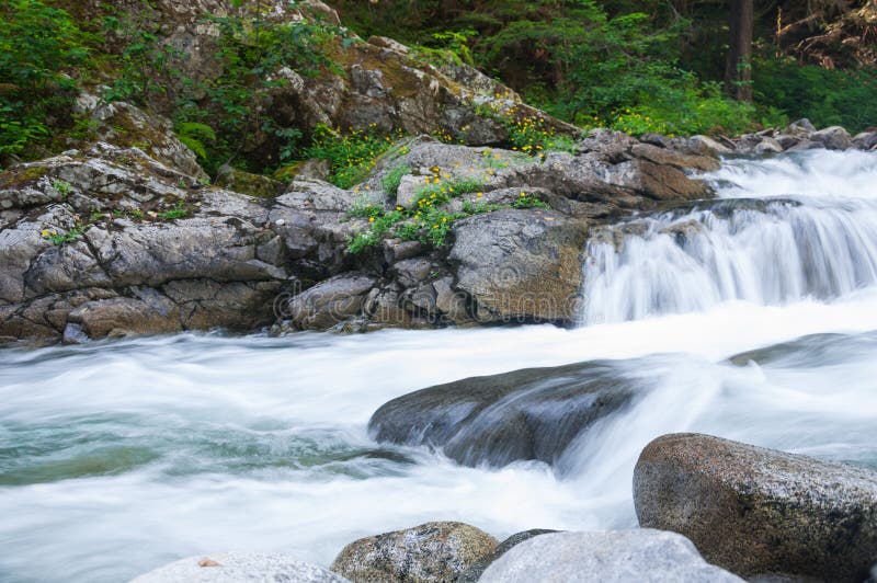 Cascades Of Mountain River 2 Stock Image Image Of Rocks Forest