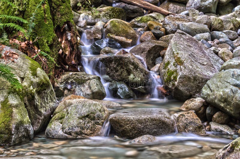 Cascades On Small Creek In The Forest Stock Image Image Of Fresh