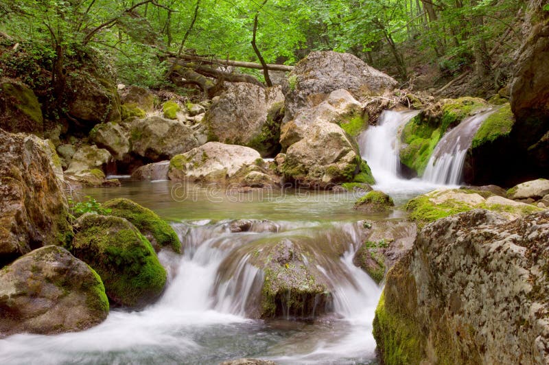 Cascades in spring forest