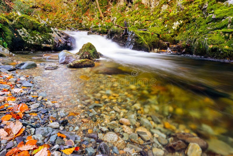 Cascades On A Mountain Stream With Mossy Rocks In Tollymore Forest Park