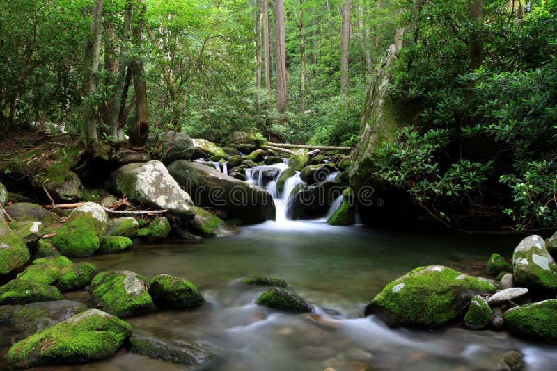 Cascading mountain stream