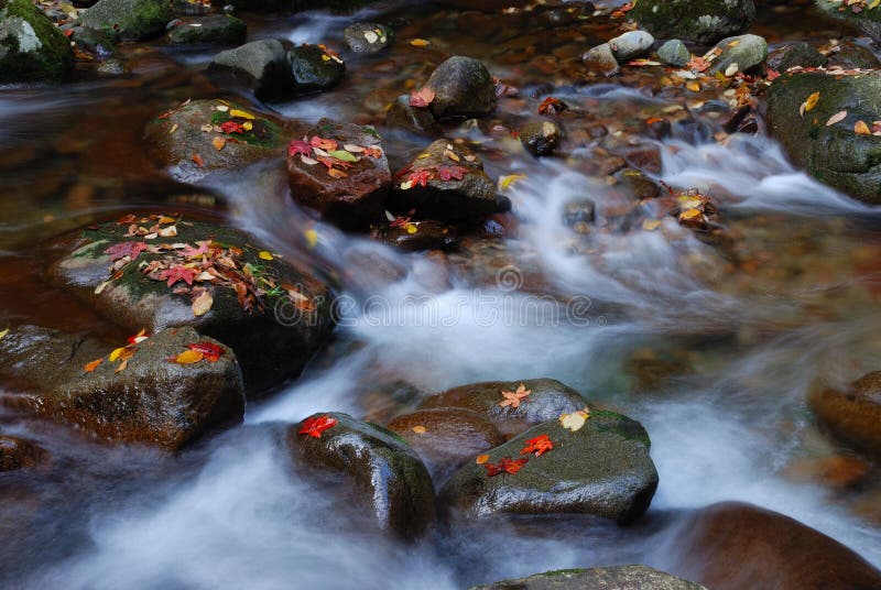 Cascading stream water