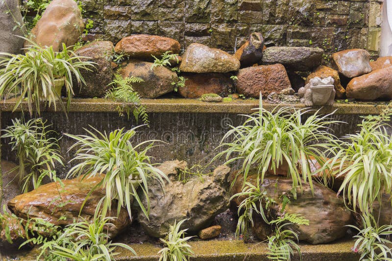 Water feature wall with shelves of spider plants. Cascading water feature wall with shelves of variegated spider plants royalty free stock photography
