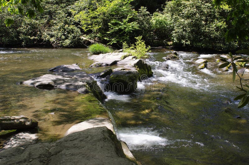 Cascading Water Looking Across a Stream