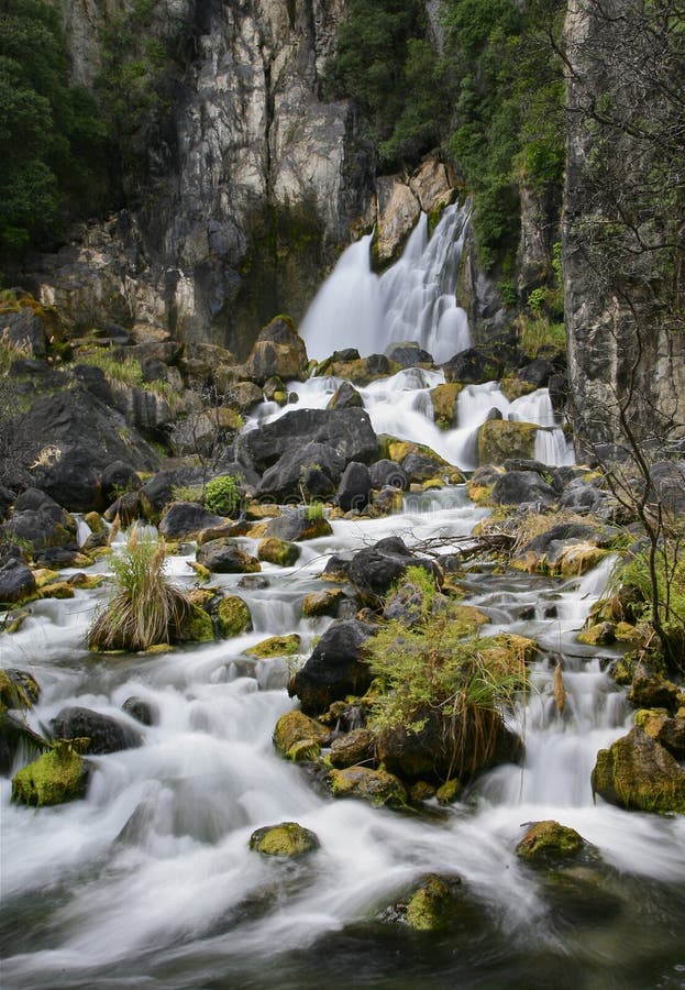 Tarawera Falls, is not like most waterfalls, in that water surges up from underground and is forced through a crack in the cliff face, 55000 litre's of water flows out every second, due to the thermal area at nearby Rotorua, water temp is about 22 degrees C. Tarawera Falls, is not like most waterfalls, in that water surges up from underground and is forced through a crack in the cliff face, 55000 litre's of water flows out every second, due to the thermal area at nearby Rotorua, water temp is about 22 degrees C.