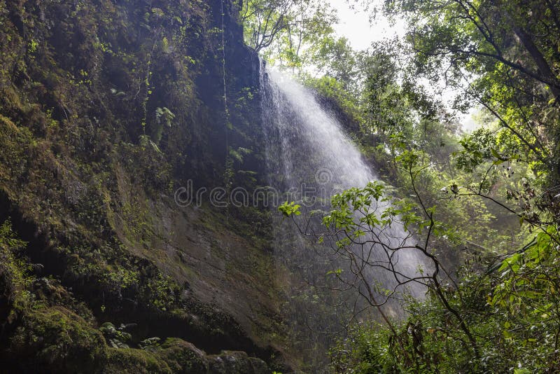 Cascata alla pioggia Forest La Palma di Los Tilos Le Isole Canarie immagini stock libere da diritti Cascata alla pioggia Forest La Palma di Los Tilos Le Isole Canarie immagini stock libere da diritti
