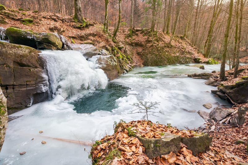 Cascata congelata in foresta immagini stock libere da diritti Cascata congelata in foresta immagini stock libere da diritti