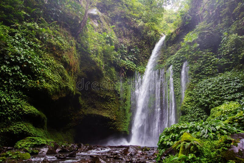 Cascata Di Beautuful Vicino A Rinjani Senaru Lombok  