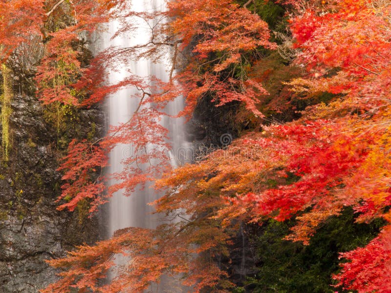 Cascata di Minoh in autunno fotografia stock libera da diritti Cascata di Minoh in autunno fotografia stock libera da diritti