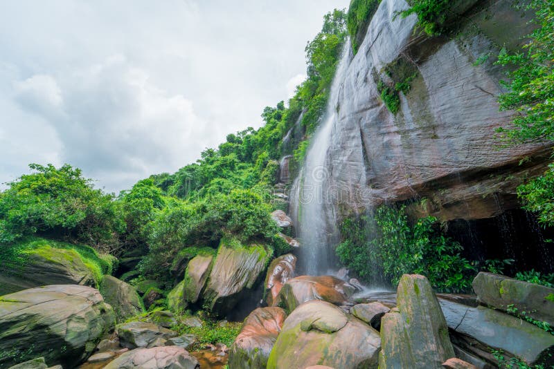 Cascata in foresta pluviale verde fotografie stock Cascata in foresta pluviale verde fotografie stock