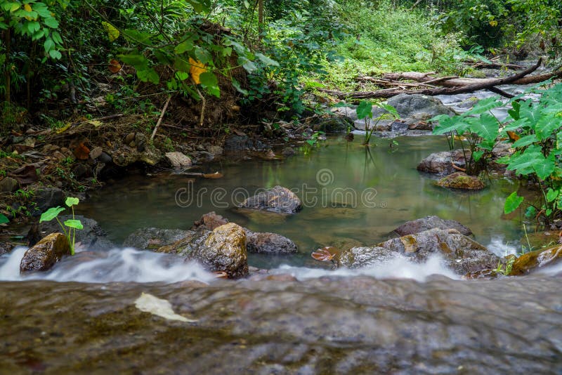 Cascata in legno profondo fotografie stock