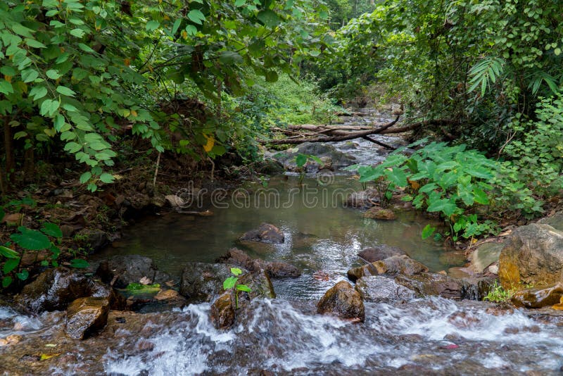 Cascata in legno profondo fotografia stock libera da diritti