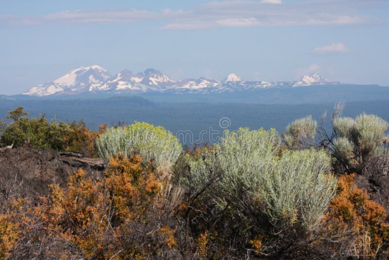 Cascate centrali dell'Oregon con Rabbitbrush immagine stock Cascate centrali dell'Oregon con Rabbitbrush immagine stock