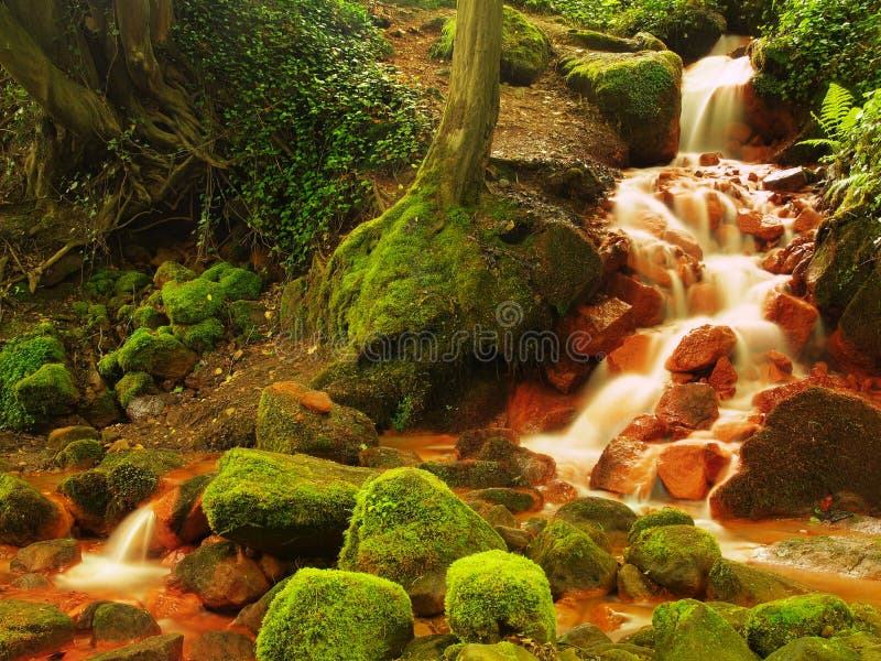 Cascate della primavera in corrente di acqua minerale rapida Sedimenti ferrici rossi sui grandi massi fotografia stock Cascate della primavera in corrente di acqua minerale rapida Sedimenti ferrici rossi sui grandi massi fotografia stock
