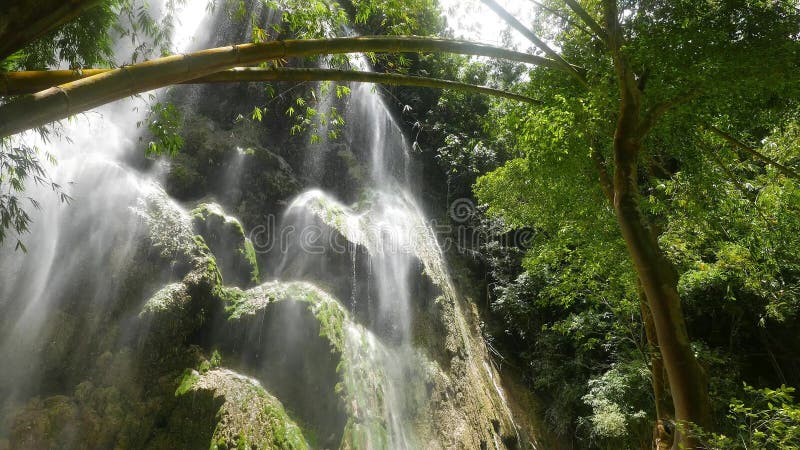 Cascate tropicali