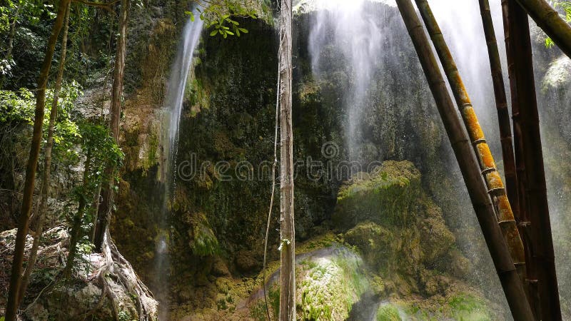 Cascate tropicali