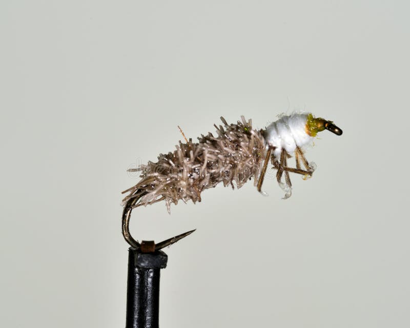 Deer hair cased Caddis trout fly. Deer hair cased Caddis trout fly