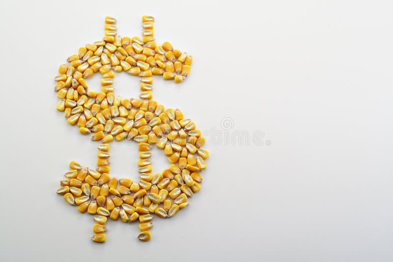 Cash Corn Crop III