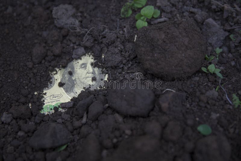 Cash grew from dirt stock photo. Image of money, dirt 189170758