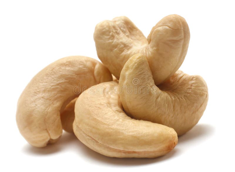 Single Cashew stock image. Image of crunchy, object, nuts 14565083