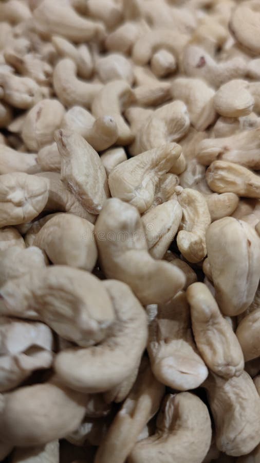 Cashew Nut, Good Source of Nutrients Stock Image Image of nutrients