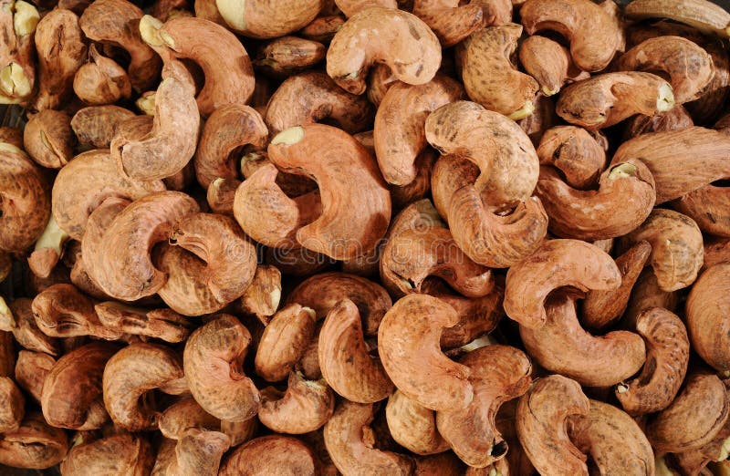 Cashew nuts stock photo. Image of cashew, nutrition, kernel 44425540