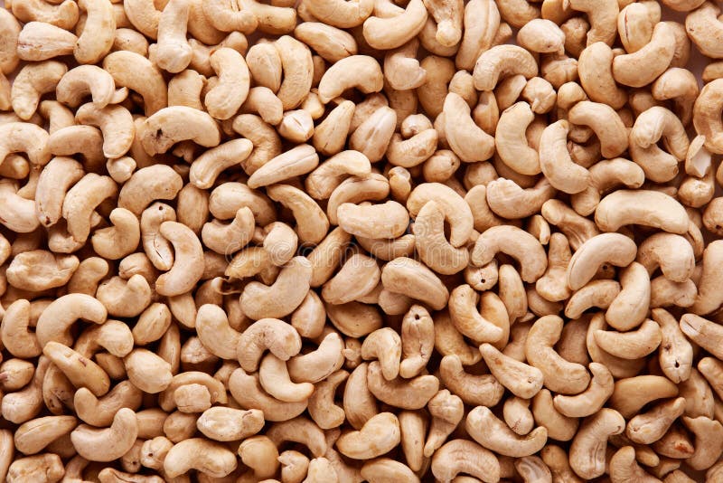 Cashew Nuts Pattern Texture of Dried Fruits Stock Image Image of