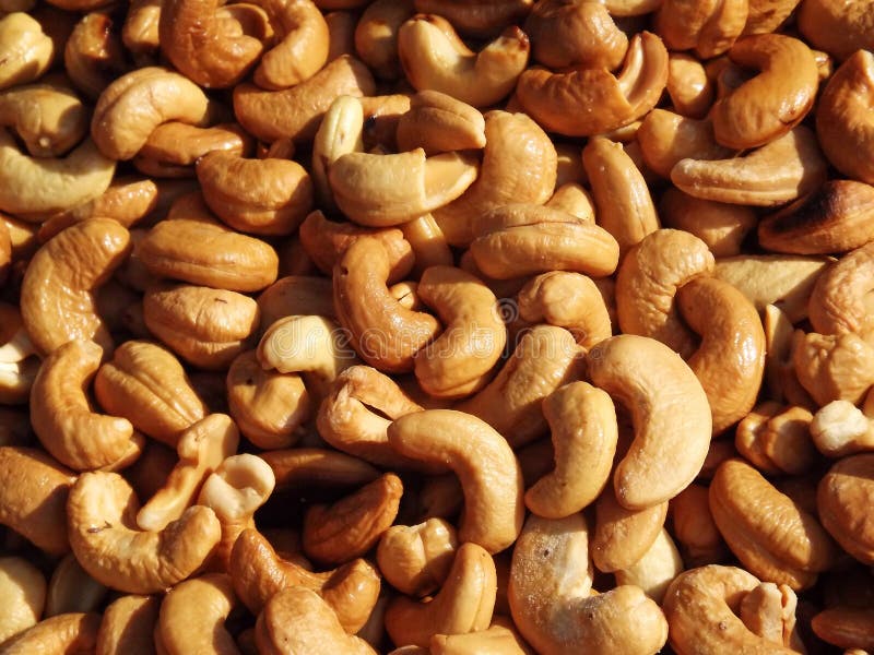 Cashewnoten royalty-vrije stock fotografie Cashewnoten royalty-vrije stock fotografie