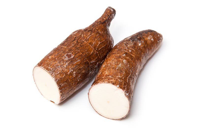 Cassava or Manioc roots