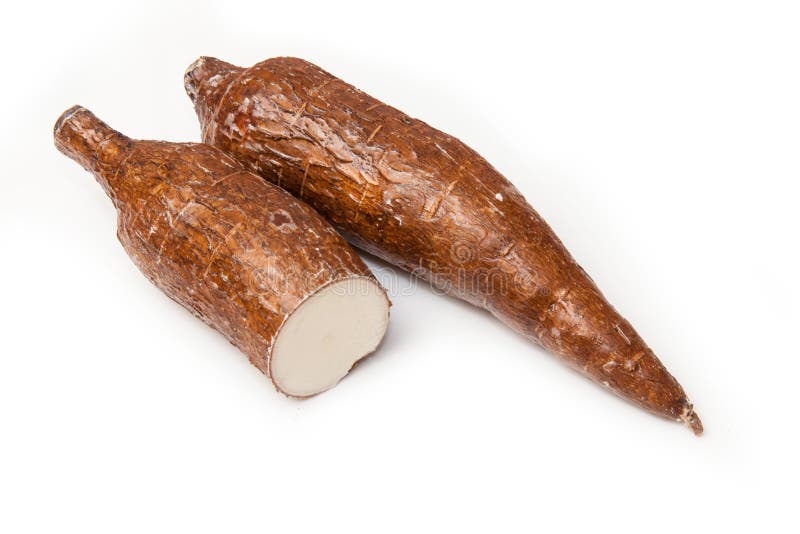 Cassava or Manioc roots