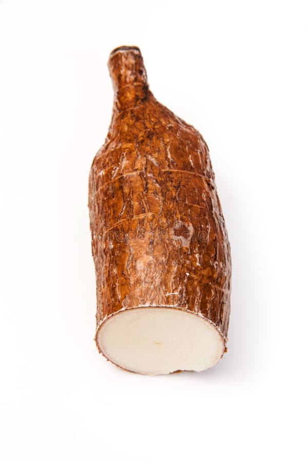 Cassava manioc tuber.