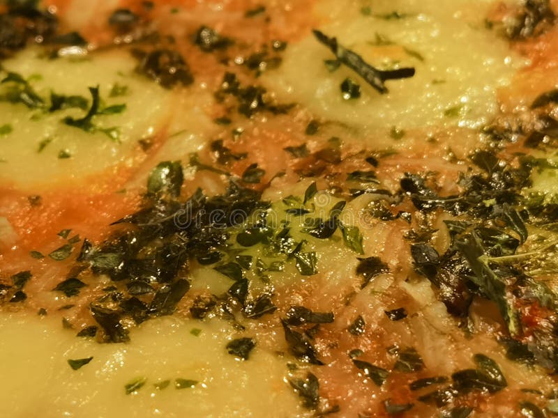Casserole with Gratinated Cheese Stock Image Image of curry, meal