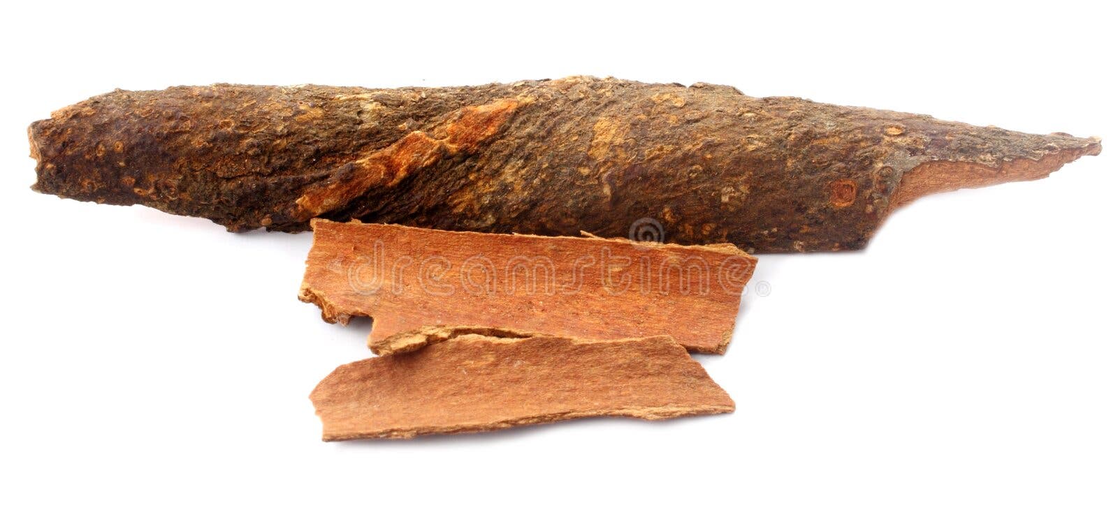 Fleeceflower Root stock image. Image of rejuvenating 37391327