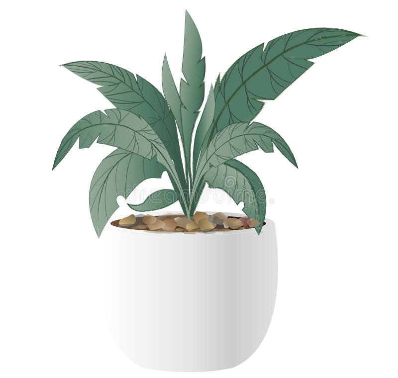 Cast Iron Plant Pot Stock Illustrations 88 Cast Iron Plant Pot Stock