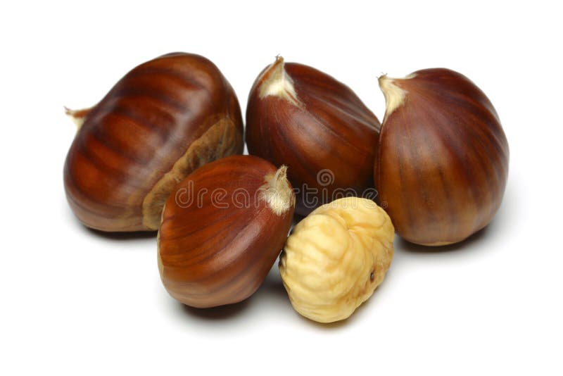 Castanha foto de stock Castanha foto de stock